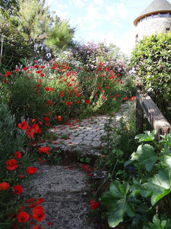 Au Moulin Geant Bed and Breakfast Rochefort-sur-Loire Buitenkant foto